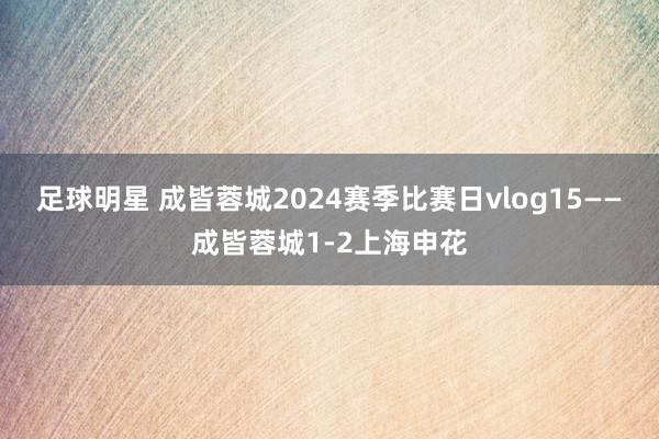 足球明星 成皆蓉城2024赛季比赛日vlog15——成皆蓉城1-2上海申花