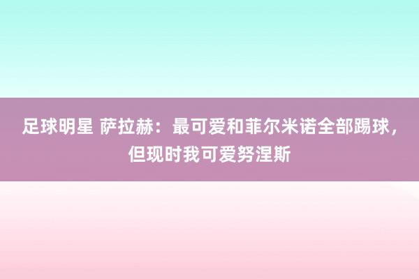 足球明星 萨拉赫：最可爱和菲尔米诺全部踢球，但现时我可爱努涅斯