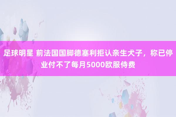 足球明星 前法国国脚德塞利拒认亲生犬子，称已停业付不了每月5000欧服侍费