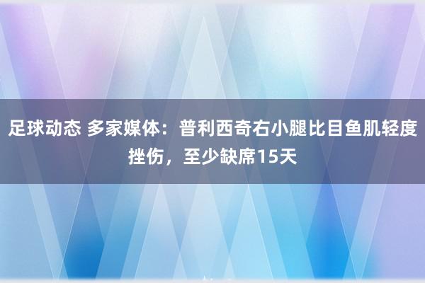 足球动态 多家媒体：普利西奇右小腿比目鱼肌轻度挫伤，至少缺席15天