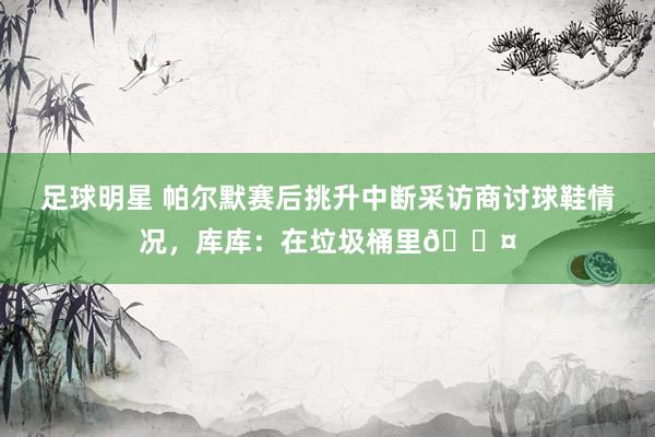 足球明星 帕尔默赛后挑升中断采访商讨球鞋情况，库库：在垃圾桶里😤