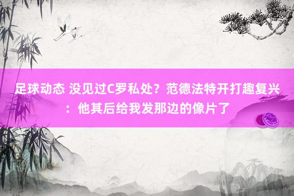 足球动态 没见过C罗私处？范德法特开打趣复兴：他其后给我发那边的像片了