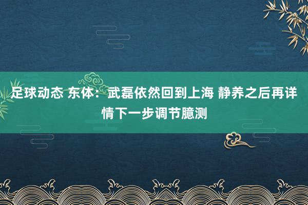 足球动态 东体：武磊依然回到上海 静养之后再详情下一步调节臆测